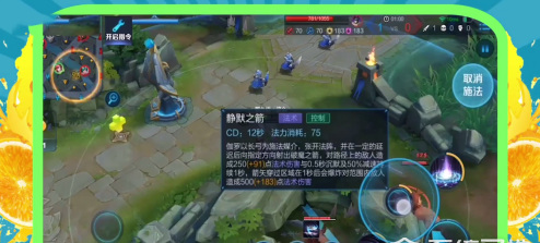 迦罗王的技能释放顺序是怎样的?迦罗王的技能释放顺序一览