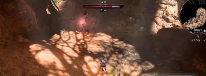 博德之门3中的枭熊在哪里?