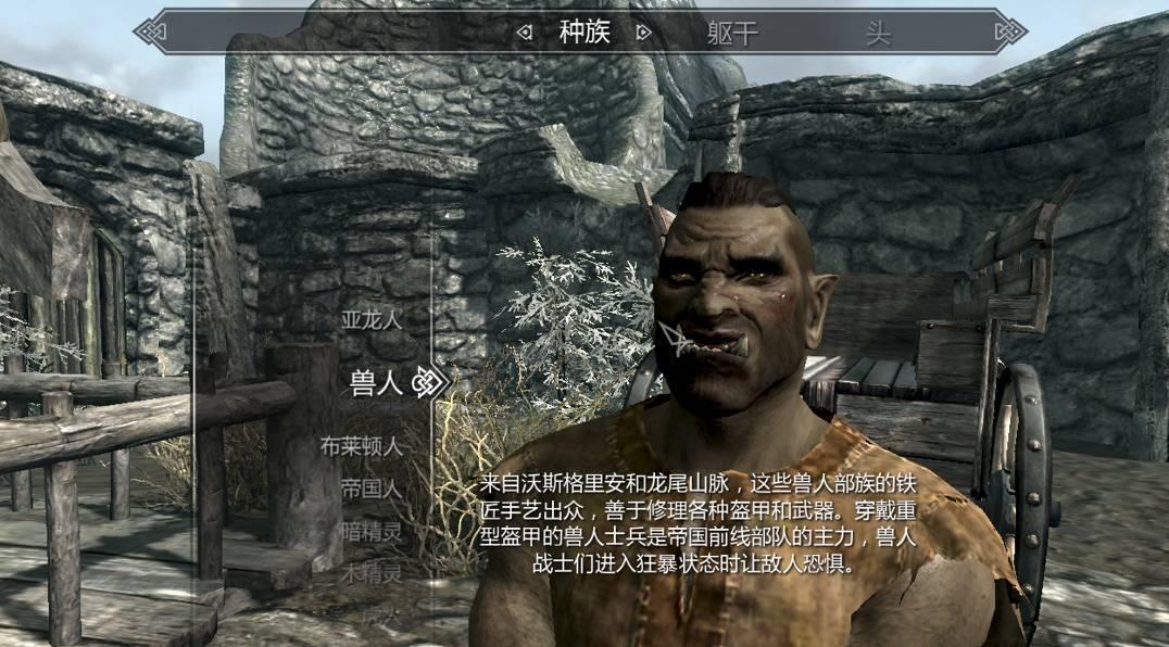 如何在 Skyrim 5 中选择种族?