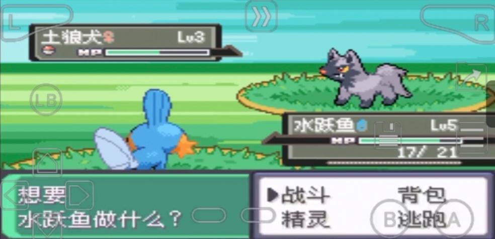 如何在 Pokemon Black and White 中达到 255 级?