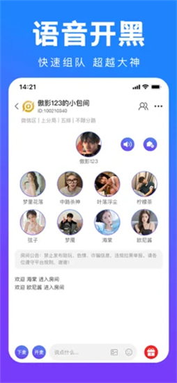 TT语音苹果版