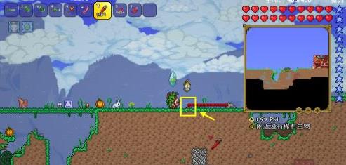 如何在 Terraria 中排列电线?